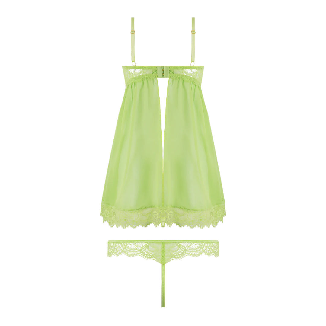 Shavon Lace & Chiffon
