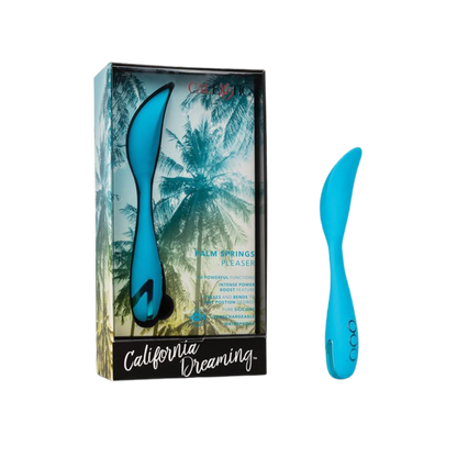 Palm Springs Pleaser